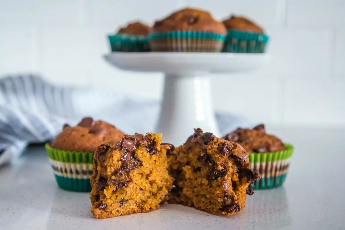 Pumpkin Chocolate Chip Muffins MSN