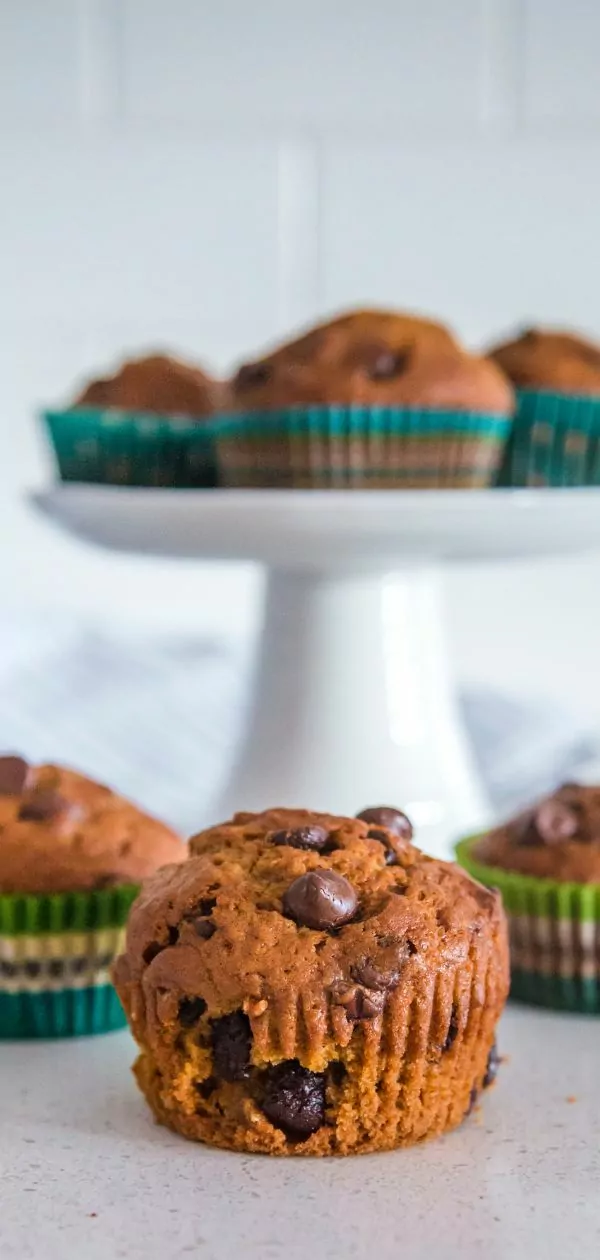 Pumpkin Chocolate Chip Muffins Pin