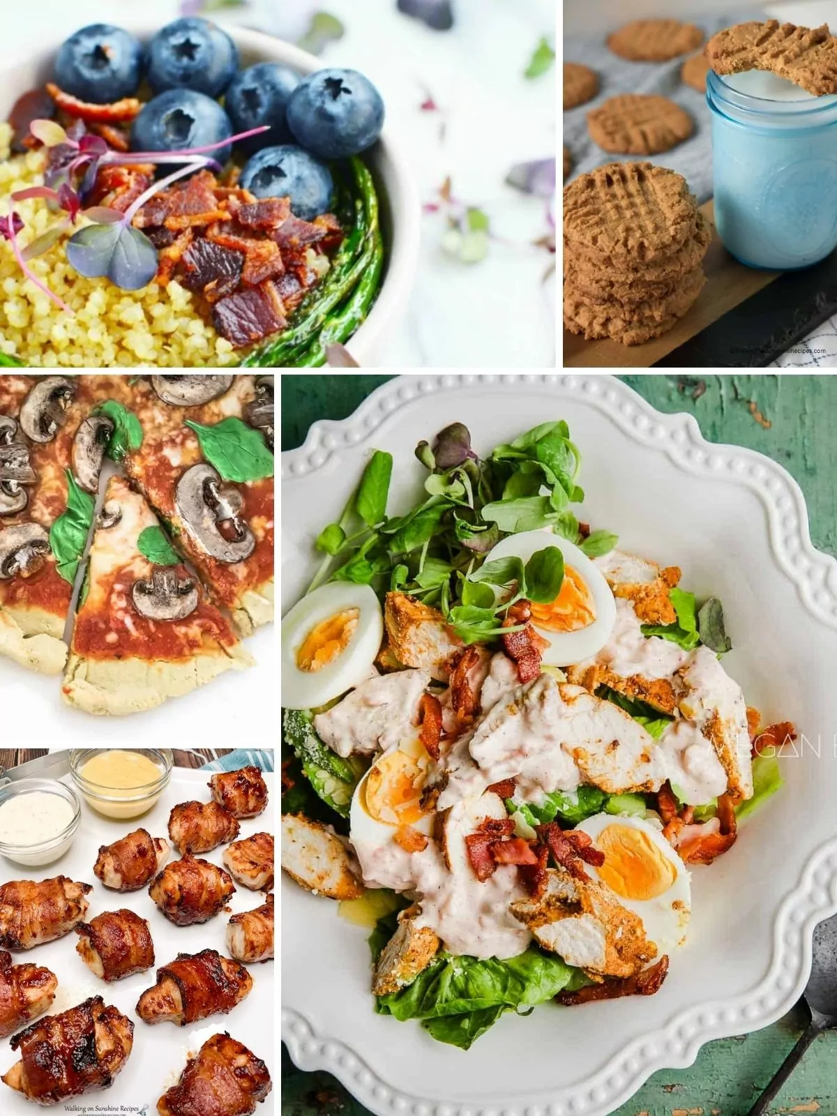 a collection of 5 diet friendly recipes.