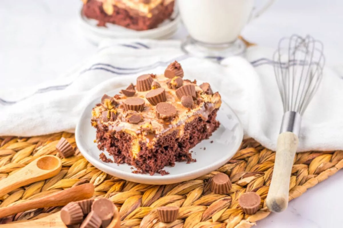 a slice of chocolate cake with peanut butter filling with candy on top.