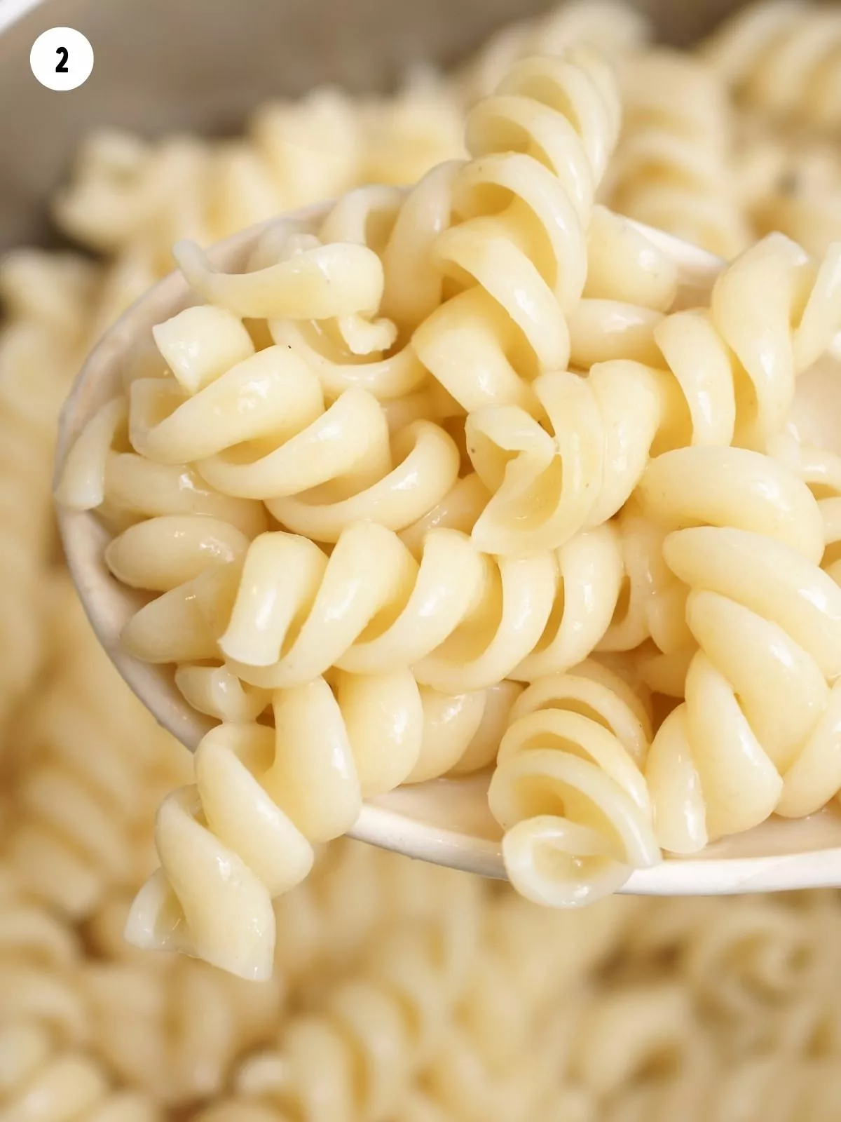 cooked rotini pasta.