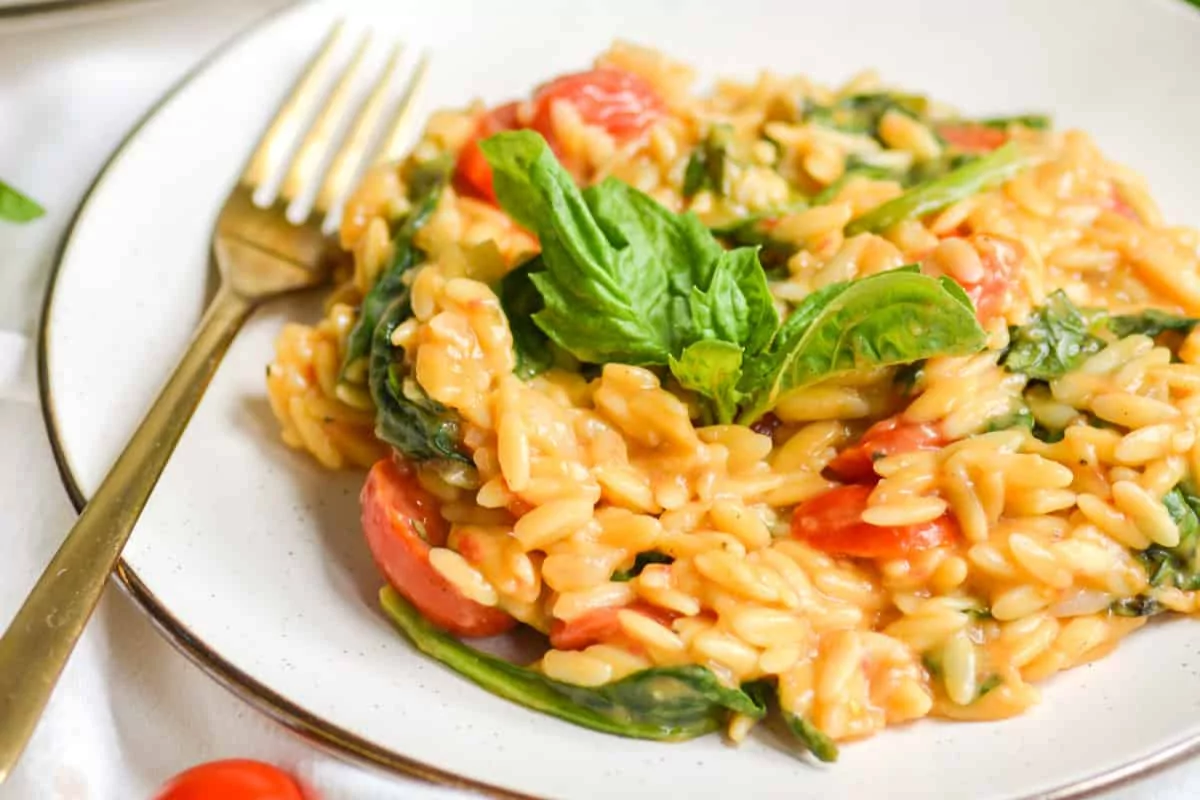 a plate of orzo with tomato and spinach