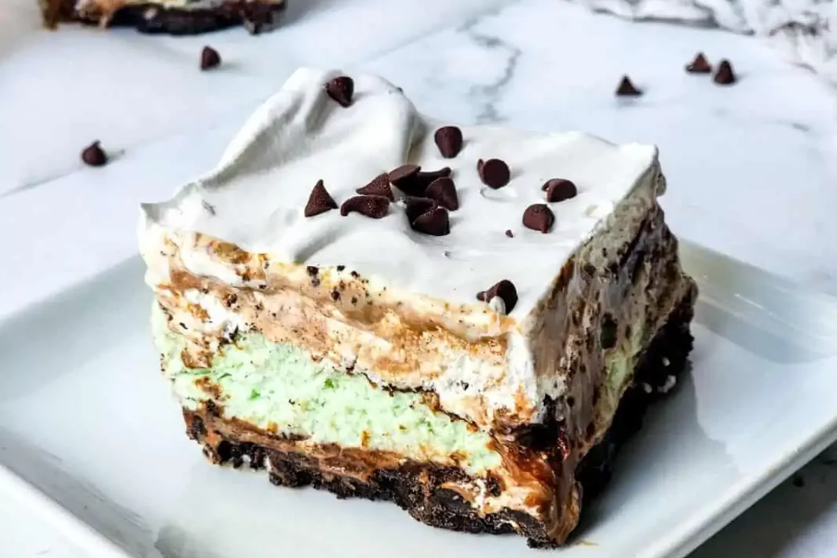 a plate of ice cream cake with chocolate chips topping