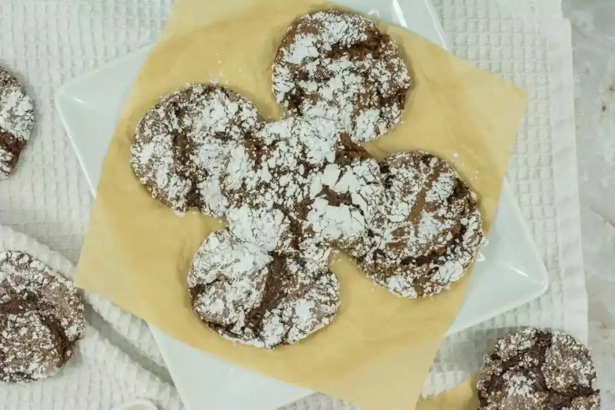 A plate of powdered sugar dusted chocolate cookies.