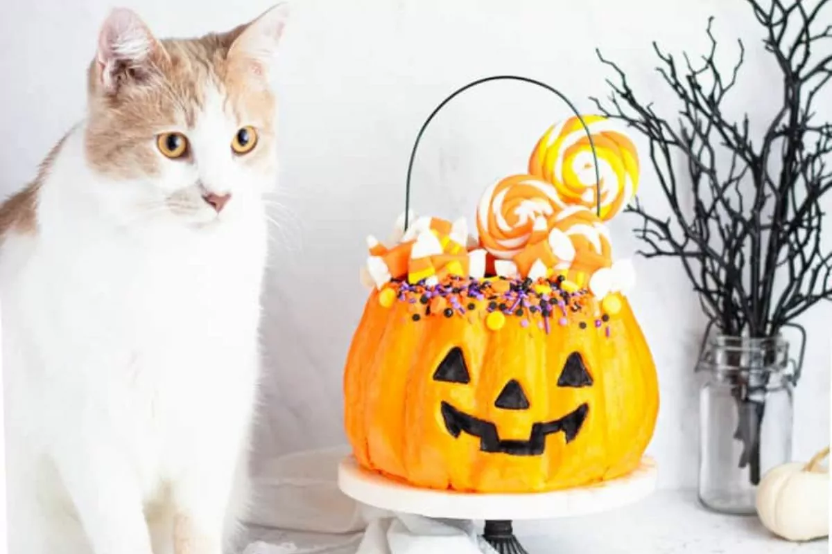 a cake made to look like an overflowing candy bucket on Halloween night.