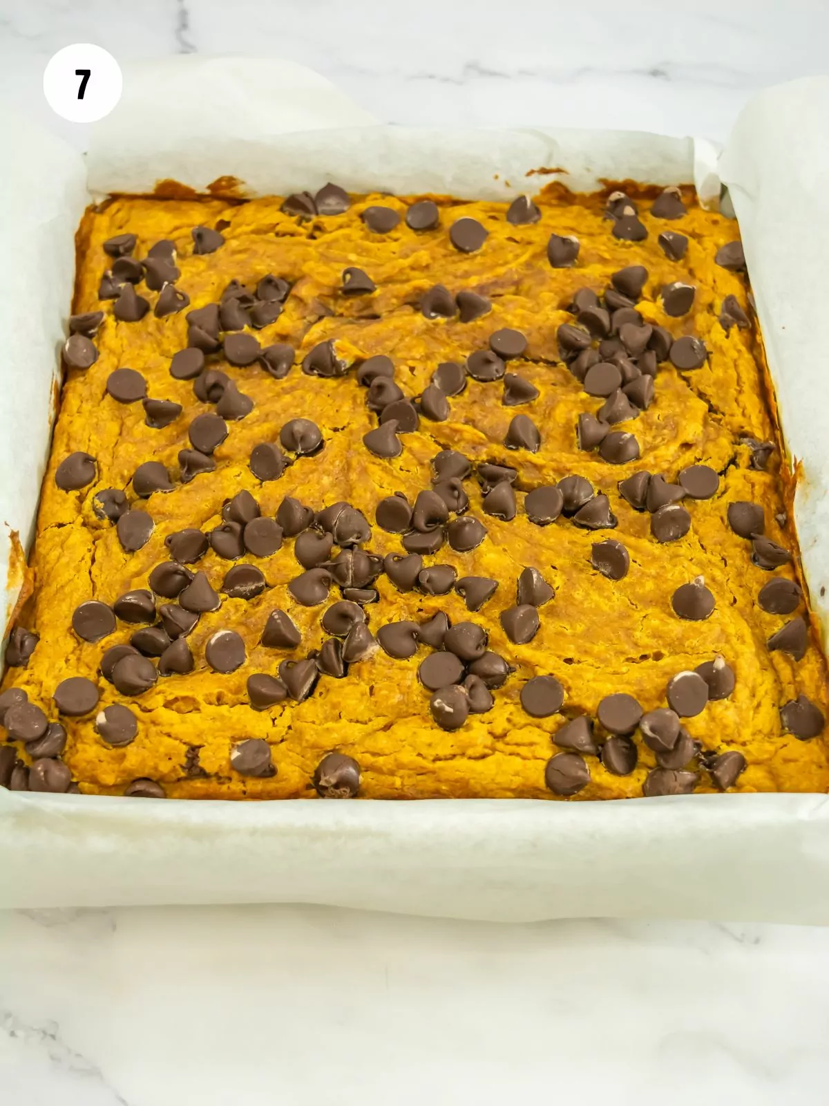 baked pumpkin brownies topped with chocolate chips in a square pan