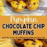 Pumpkin Chocolate Chip Muffins with Cake Mix Pin