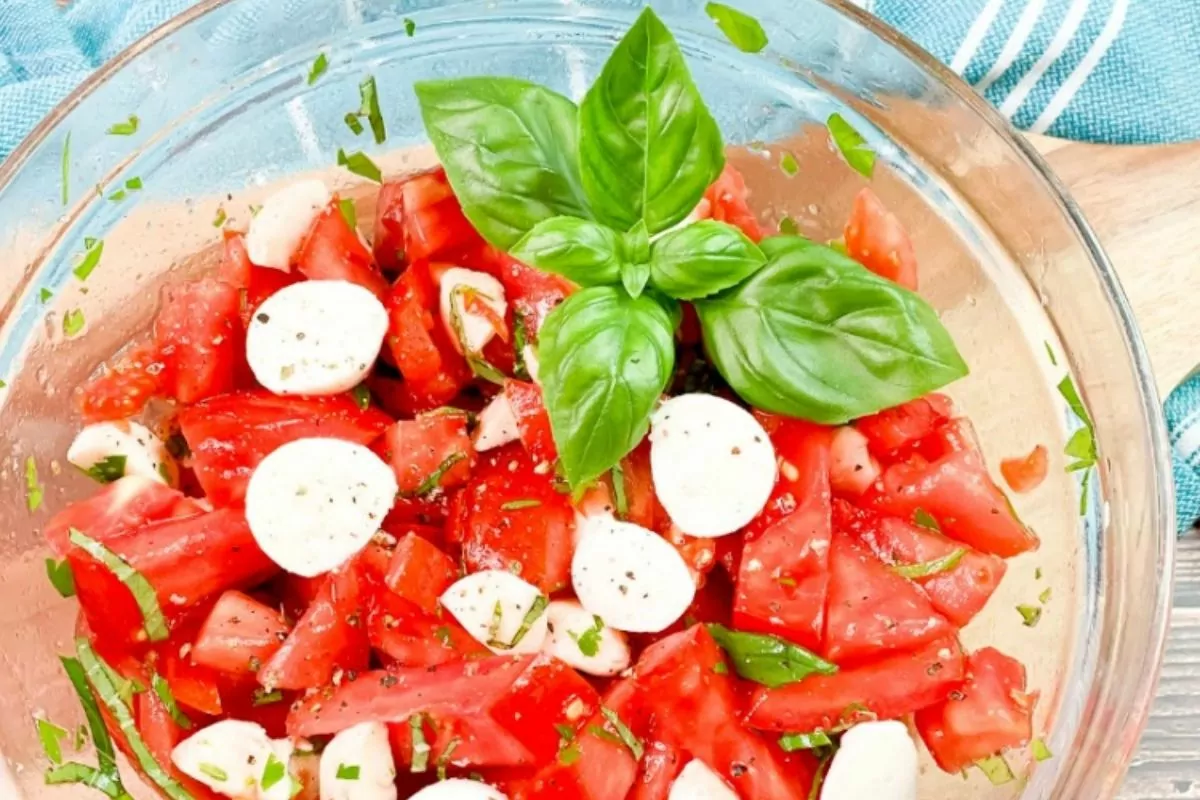 bowl of fresh tomatoes with herbs, mozzarella cheese and a sprig of fresh basil.