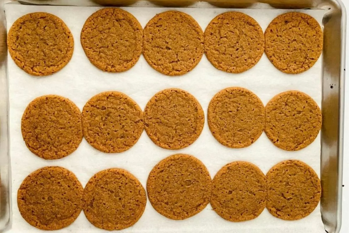 freshly baked gingersnap cookies on tray.