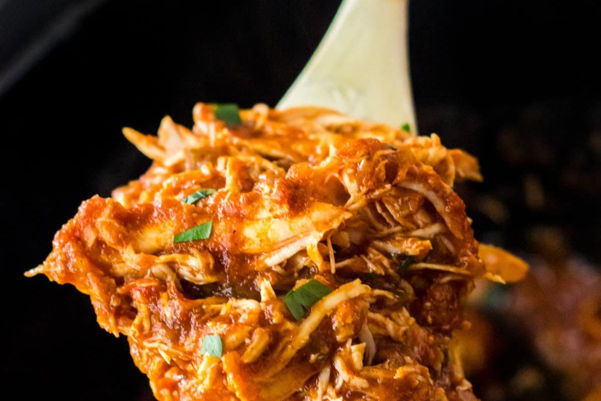 shredded chicken with salsa sauce
