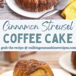 Cinnamon Streusel Coffee Cake Pin