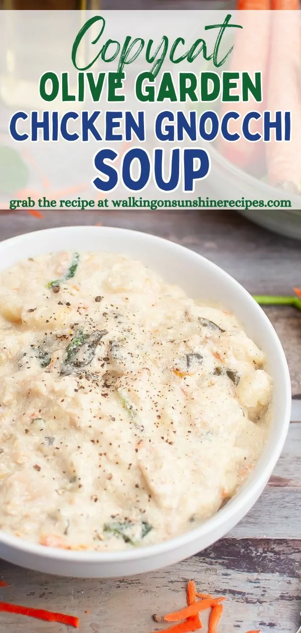 Copycat Olive Garden Chicken Gnocchi Soup Crock Pot Pin