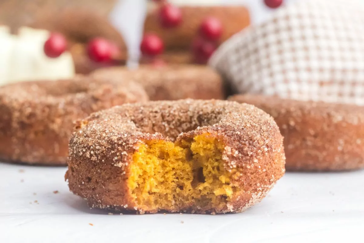 cinnamon sugar coated Homemade Pumpkin Donut with a bite taken