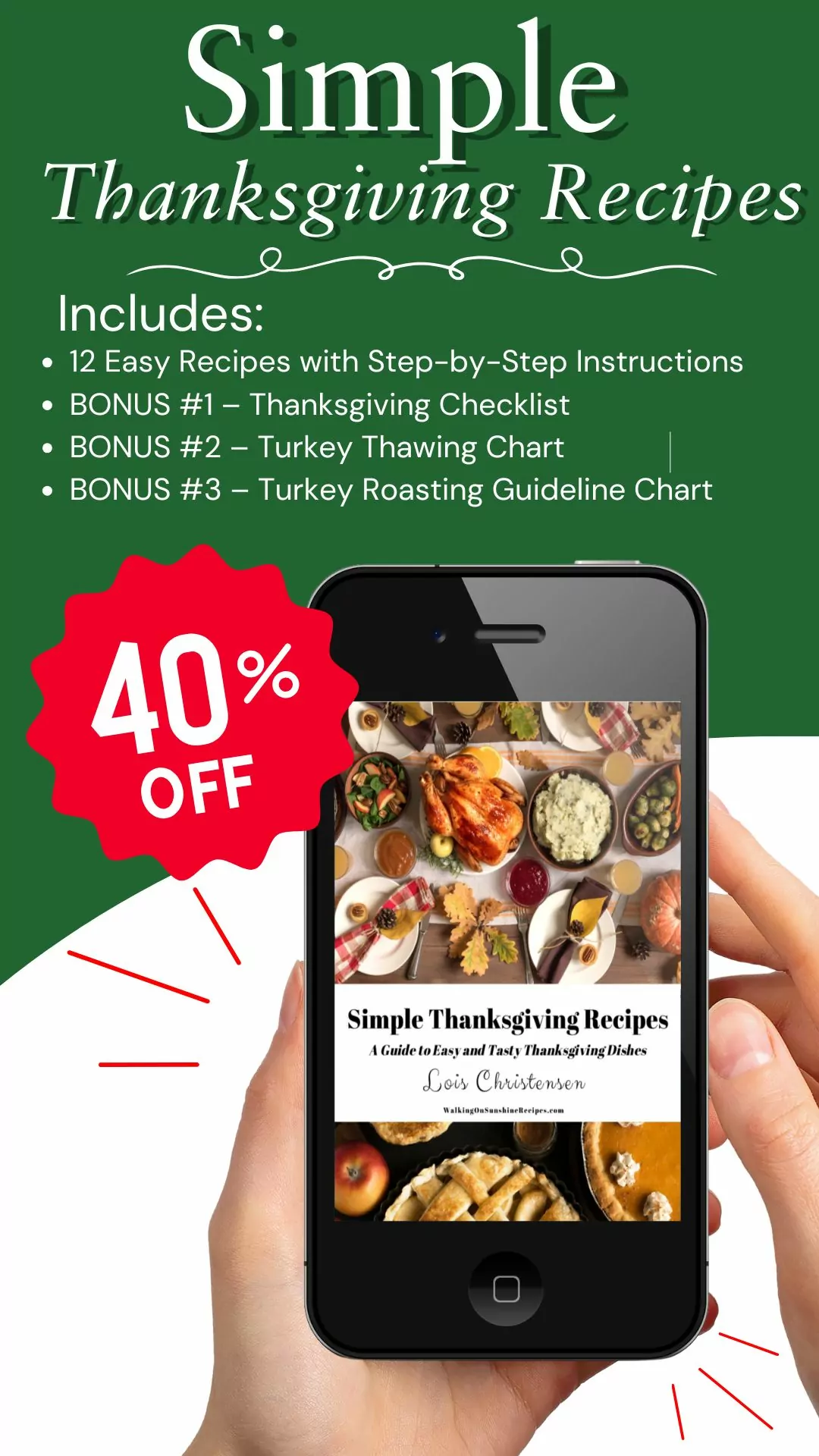 Thanksgiving recipes ebook promo 2024.