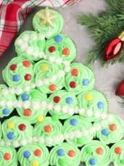 decorated cupcakes for Christmas.