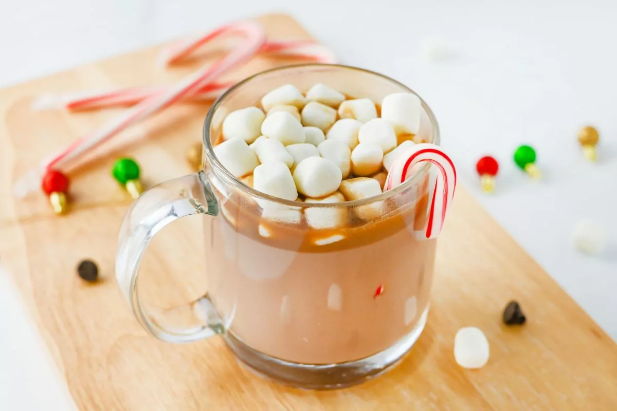 glass mug with hot chocolate, mini marshmallows and candy canes.