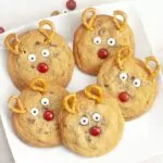 Reindeer Chocolate Chip Cookies Pin