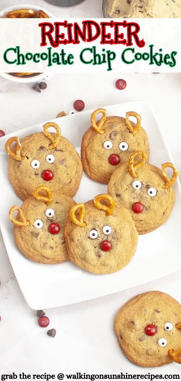 Reindeer Chocolate Chip Cookies Pin