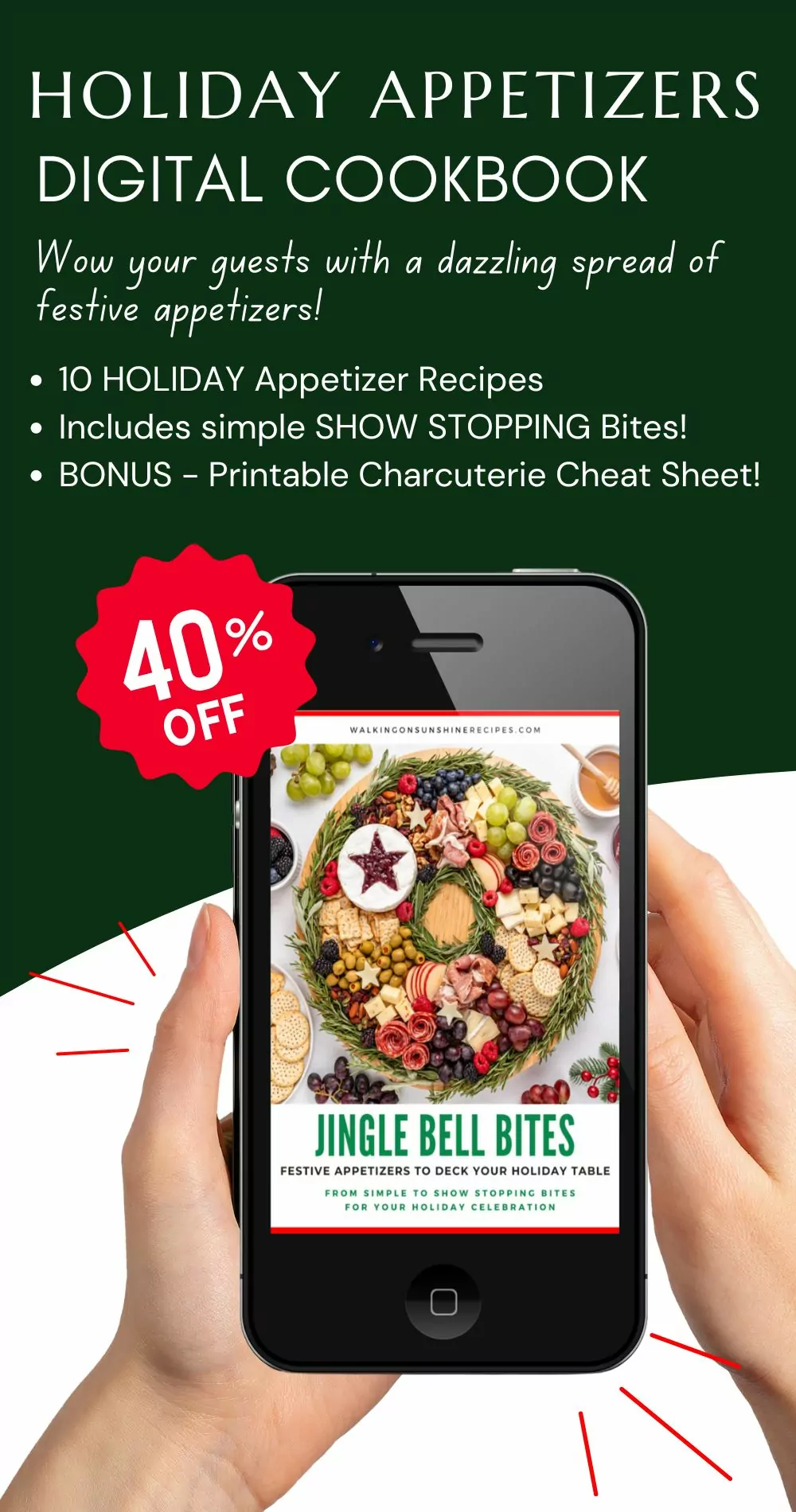 Holiday Appetizers ebook 2024.