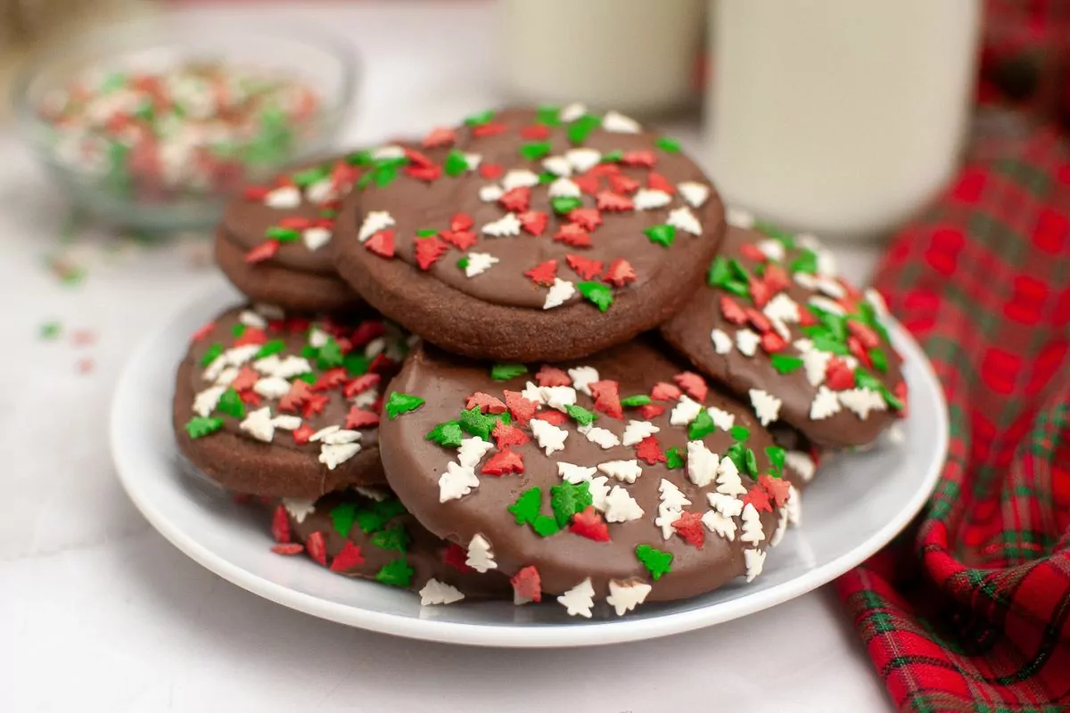 Chocolate cookies with melted chocolate and sprinkles.