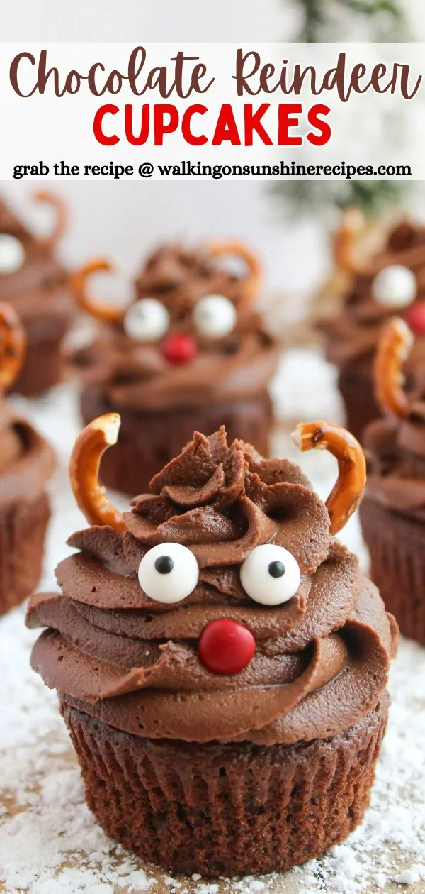 Chocolate Reindeer Cupcakes Pin