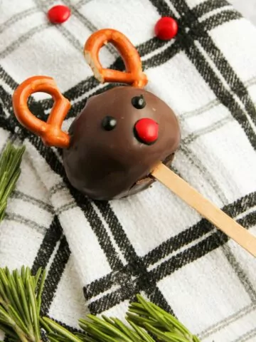 close up of Reindeer Cake Pop