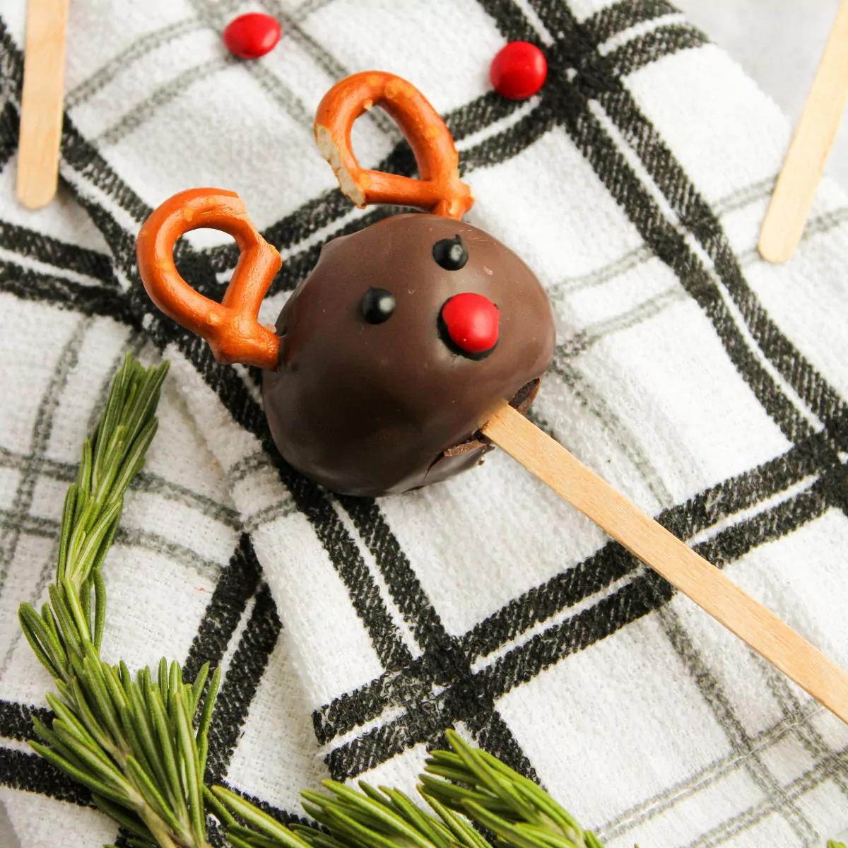 close up of Reindeer Cake Pop