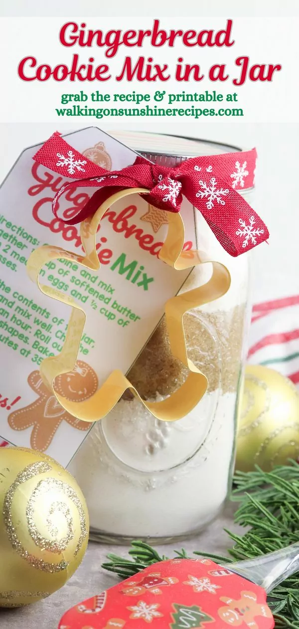 Gingerbread Cookie Mix in a Jar Pin