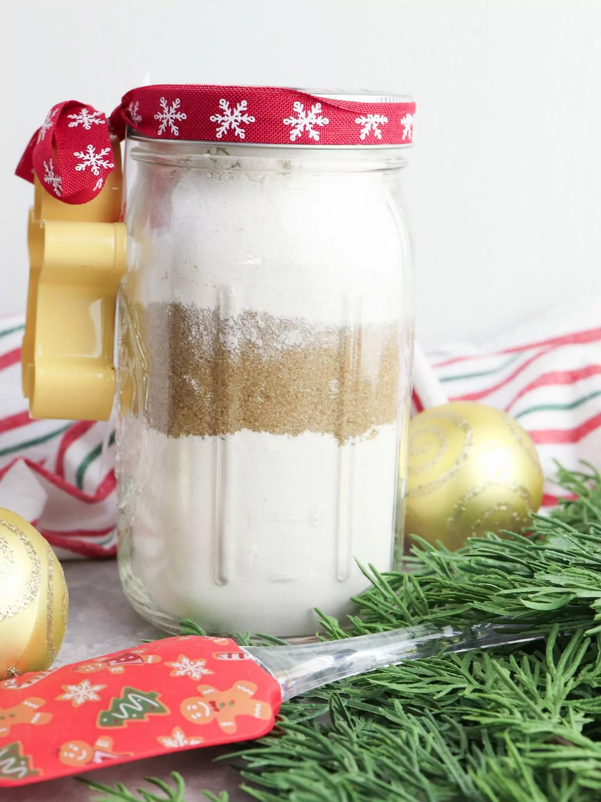 Gingerbread Cookie Mix in a Jar