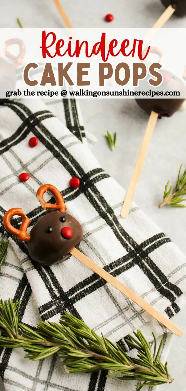 Reindeer Cake Pops Pin