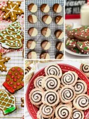 collection of cookie recipes that are freezer friendly.