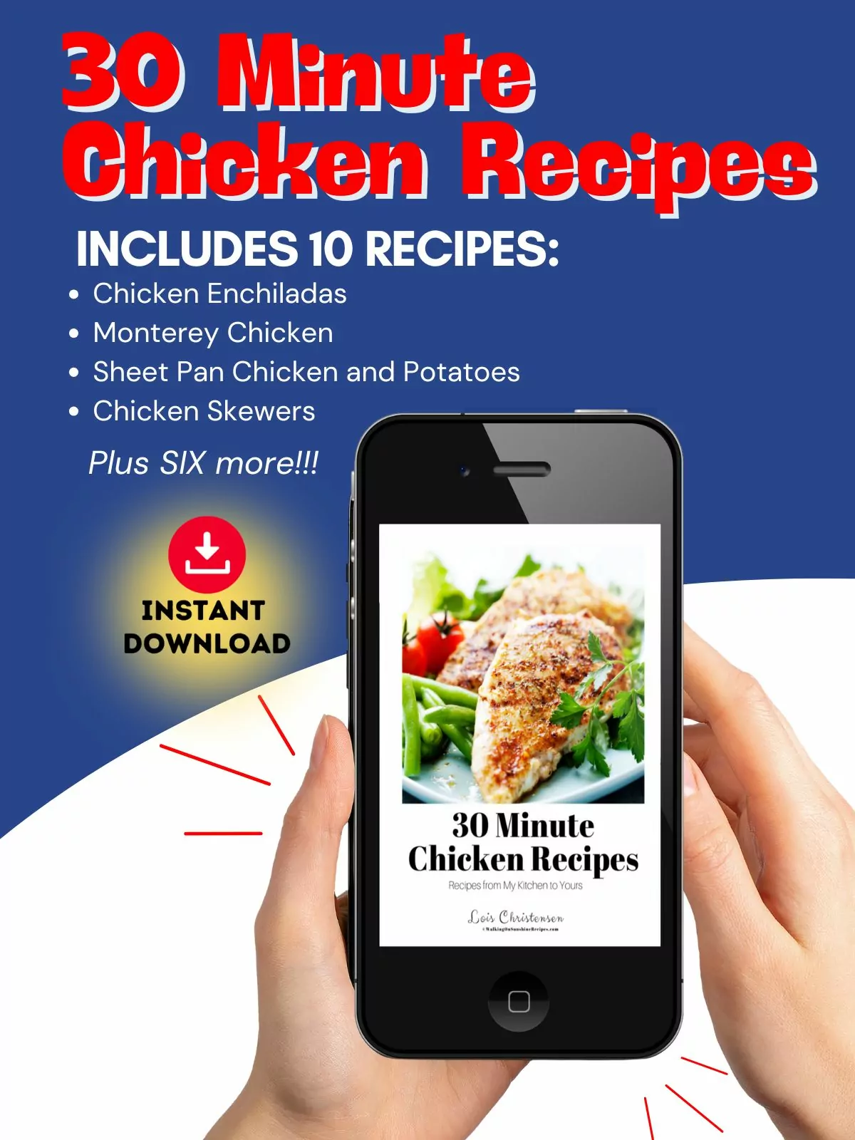 chicken ebook regular price promo.