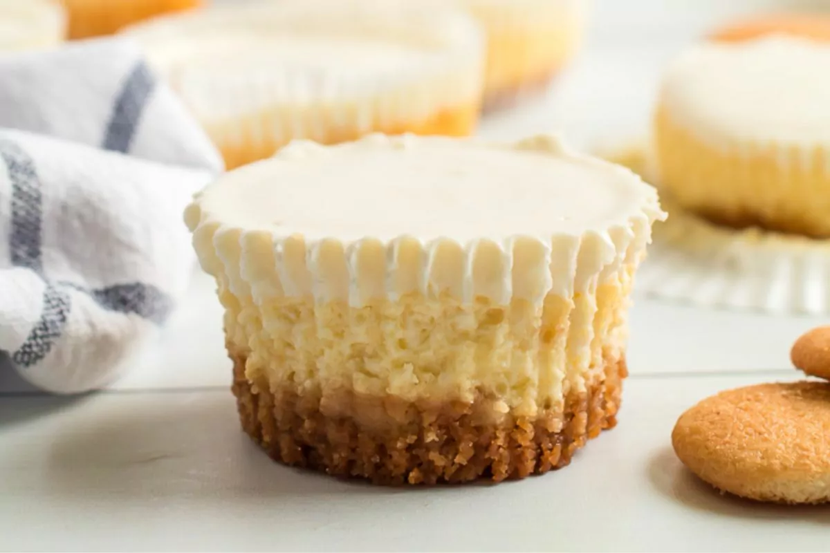 closeup of mini cheesecakes.