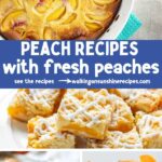 Pinterest Peach Recipes made with fresh peaches.