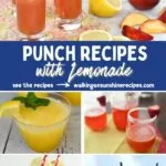 Punch Recipes with Lemonade Pin