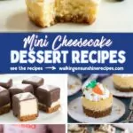 Mini Cheesecake Dessert Recipes Pin