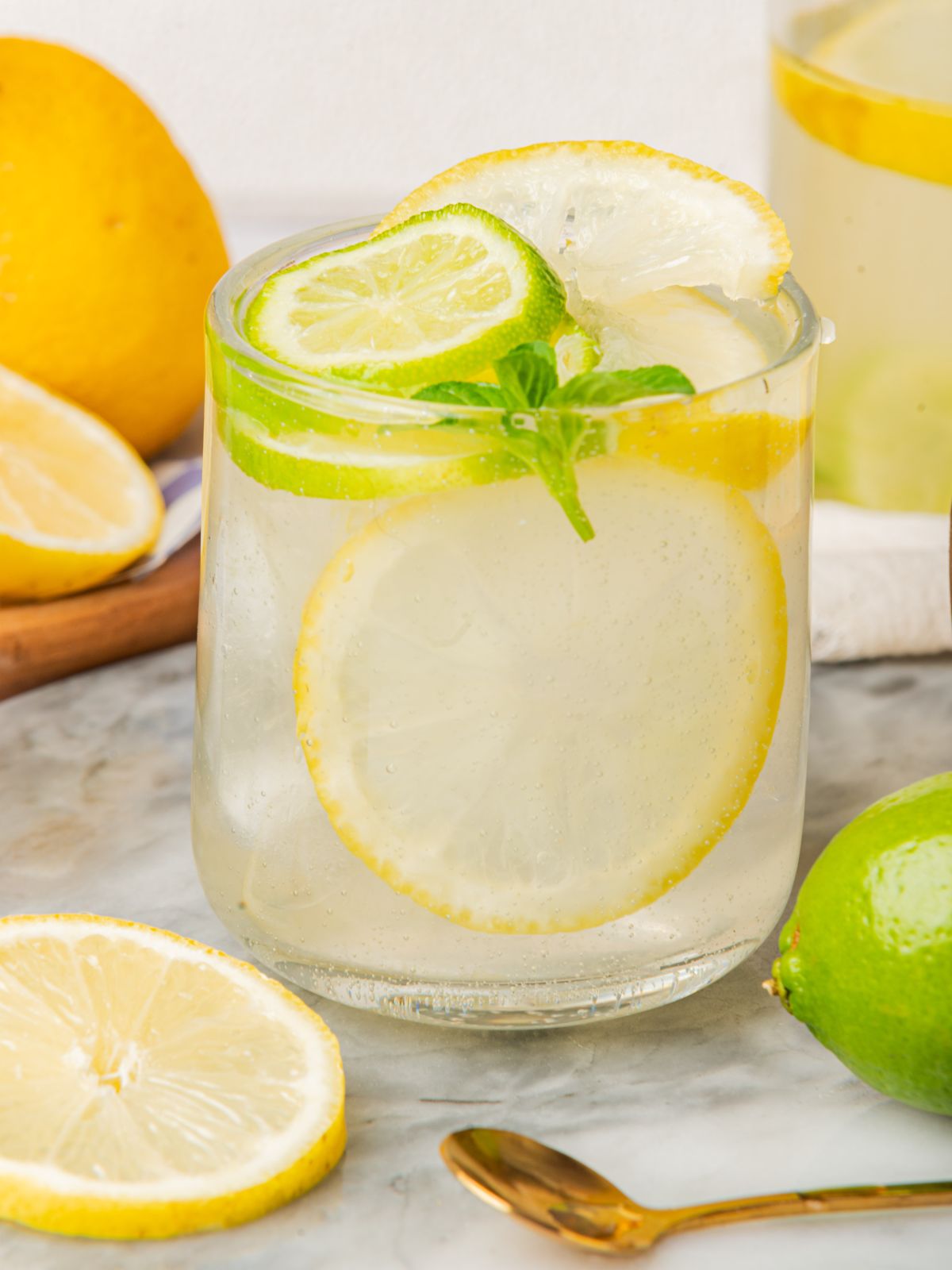 garnish with mint and lemon lime slices