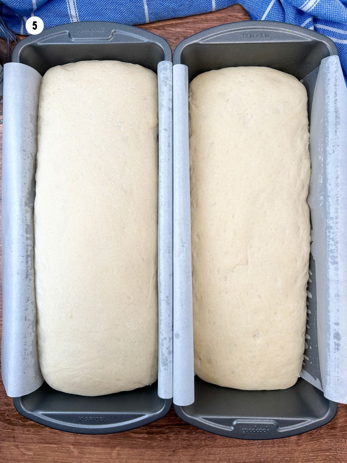 2 loaves of bread dough risen in loaf pans. Ready to bake