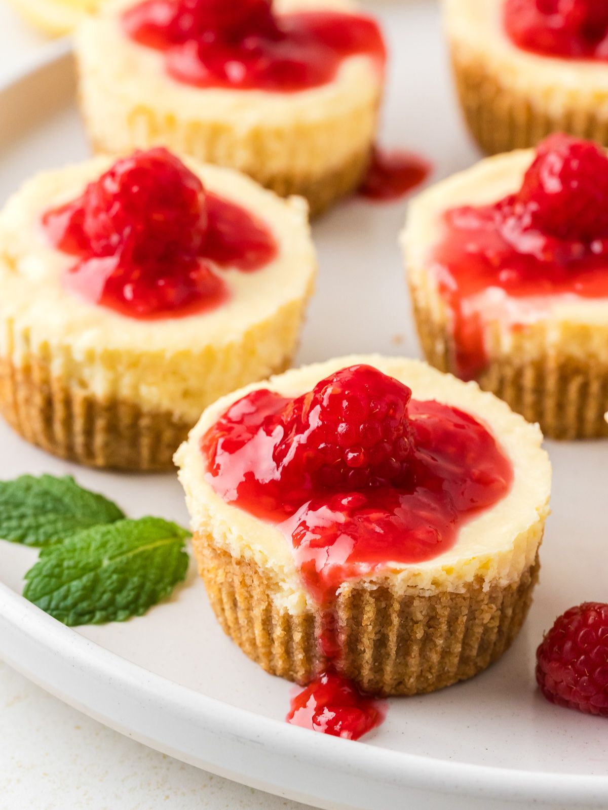 Raspberry Mini Cheesecakes