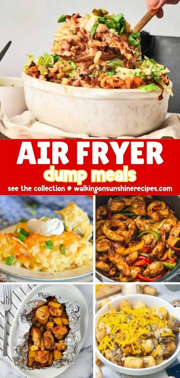 Air Fryer Dump Meals