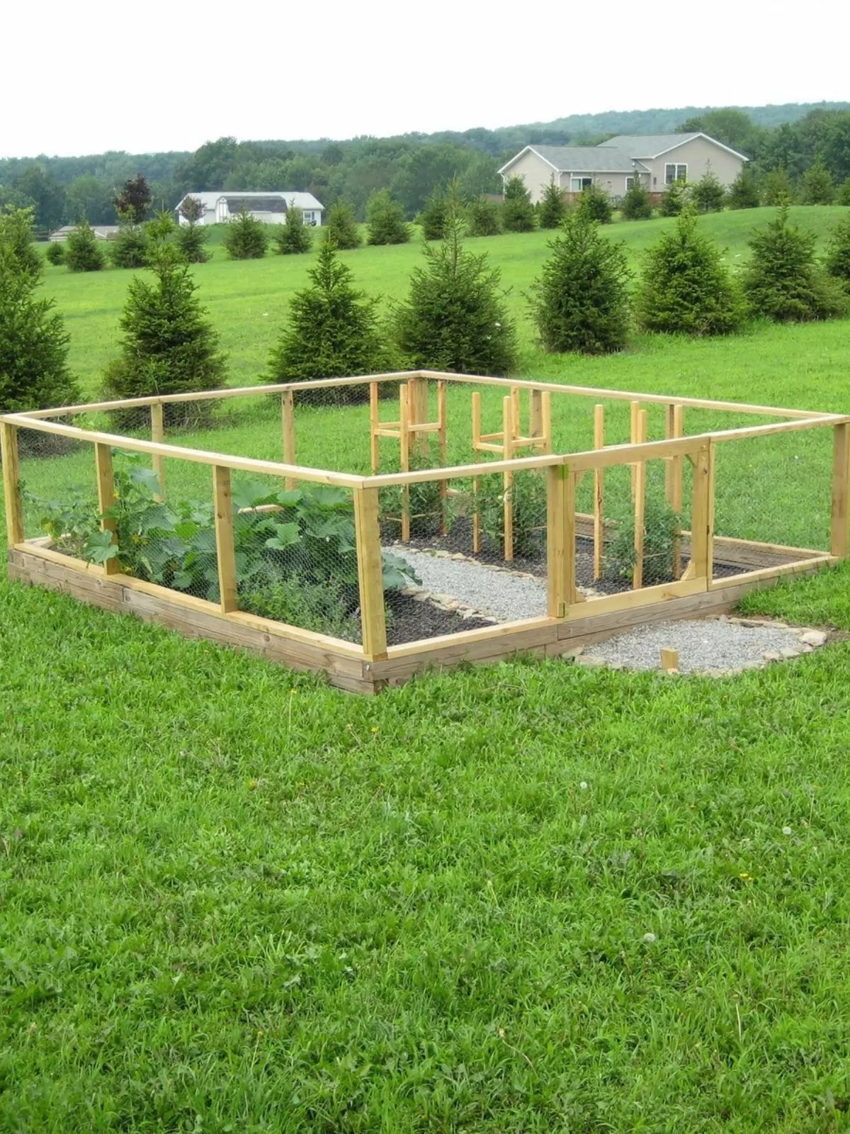 completely built garden with vegetables growing.