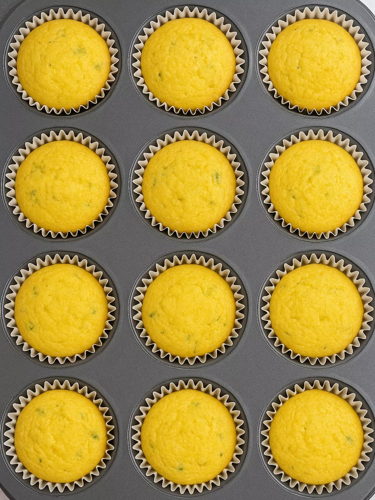 corn muffins baked in muffin pan.