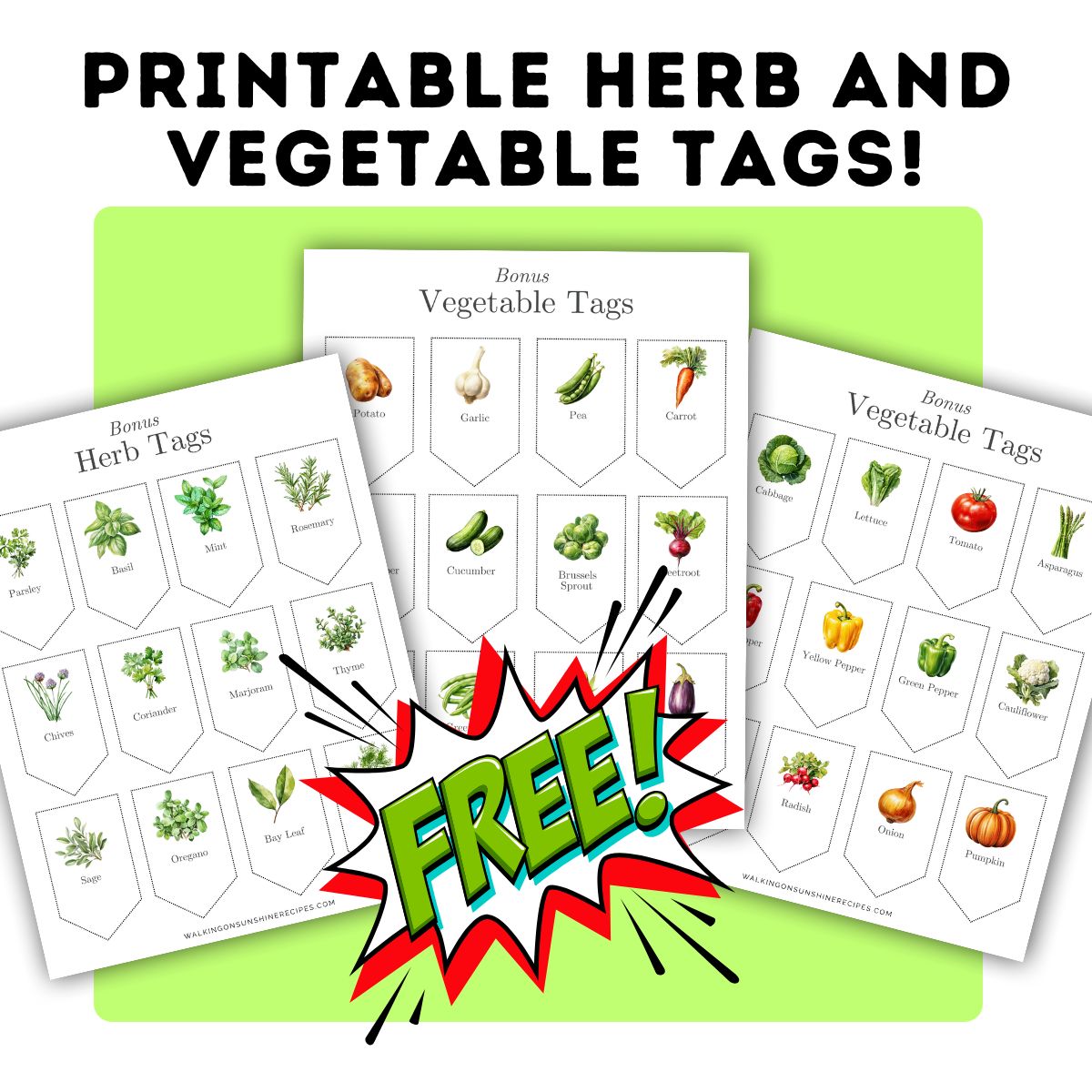 free printable vegetable and herb tags.