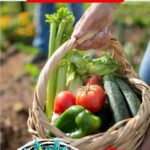 free checklist gardening Pinterest.