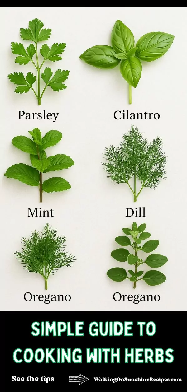 cooking with herbs 101 Pinterest.