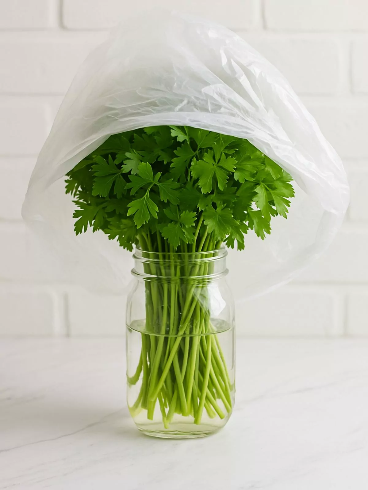 parsley in jar with water and plastic bag on top.