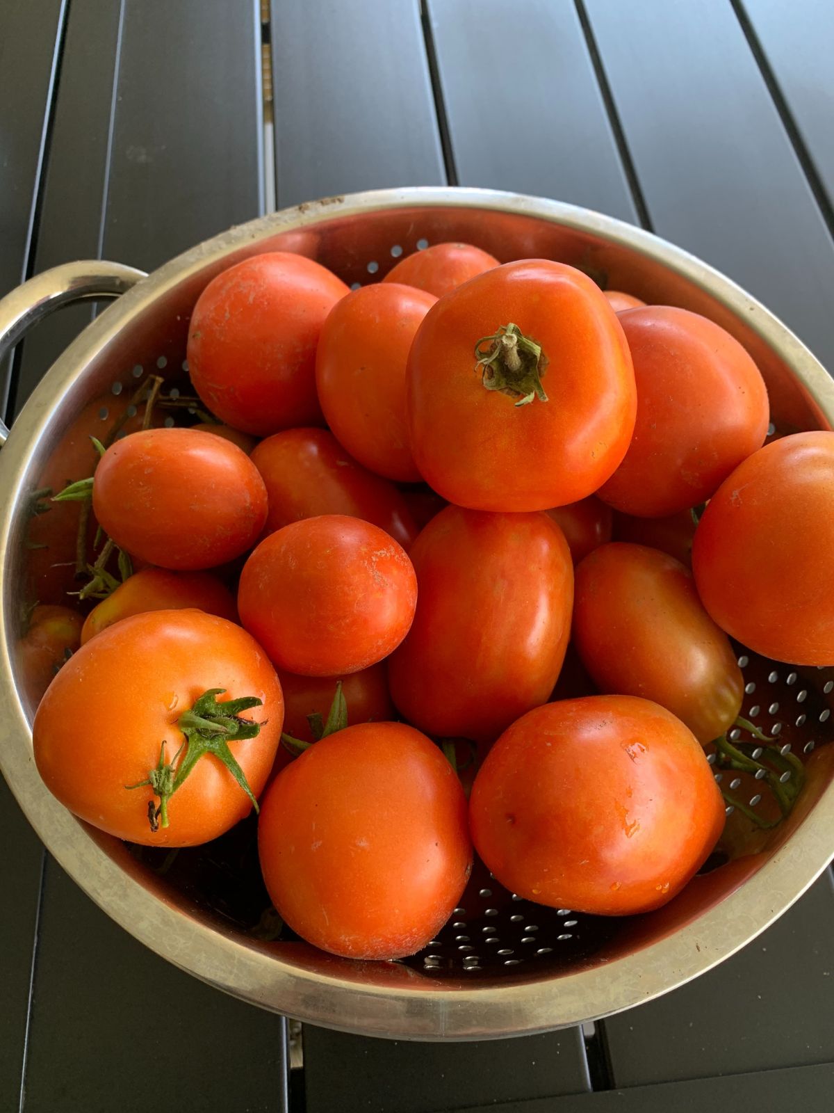 fresh grown tomatoes.