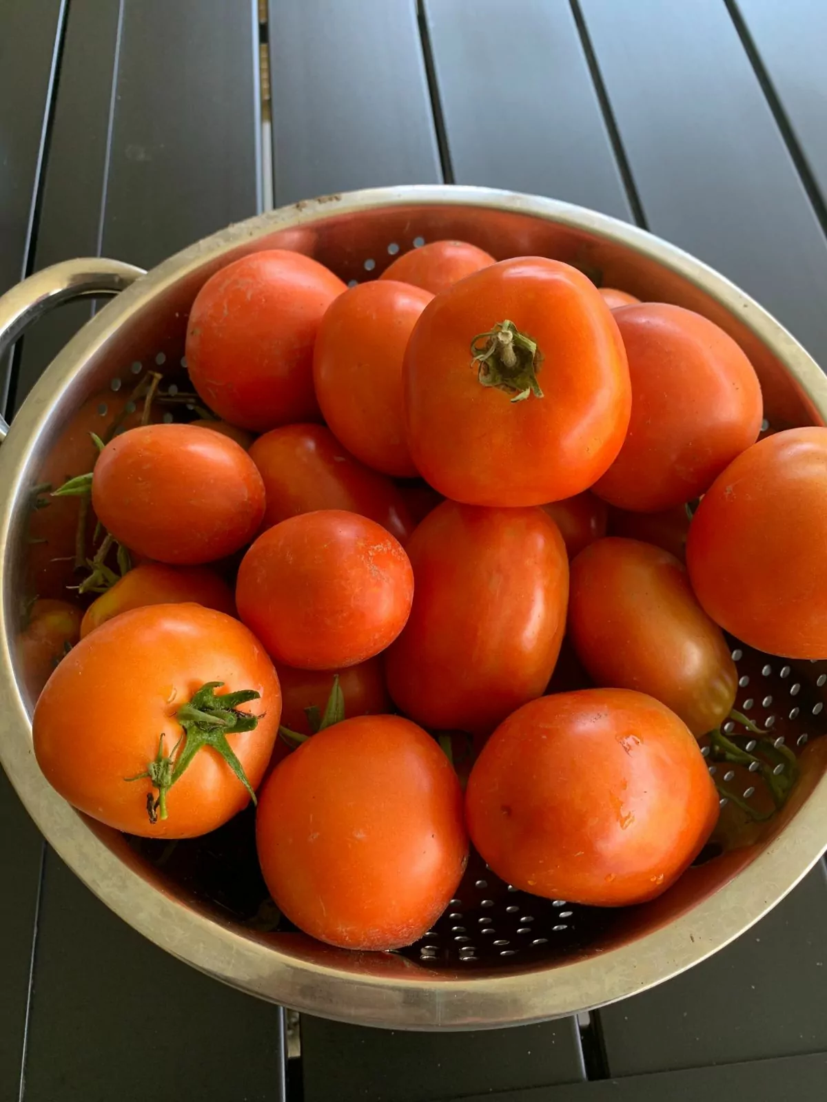 fresh grown tomatoes.