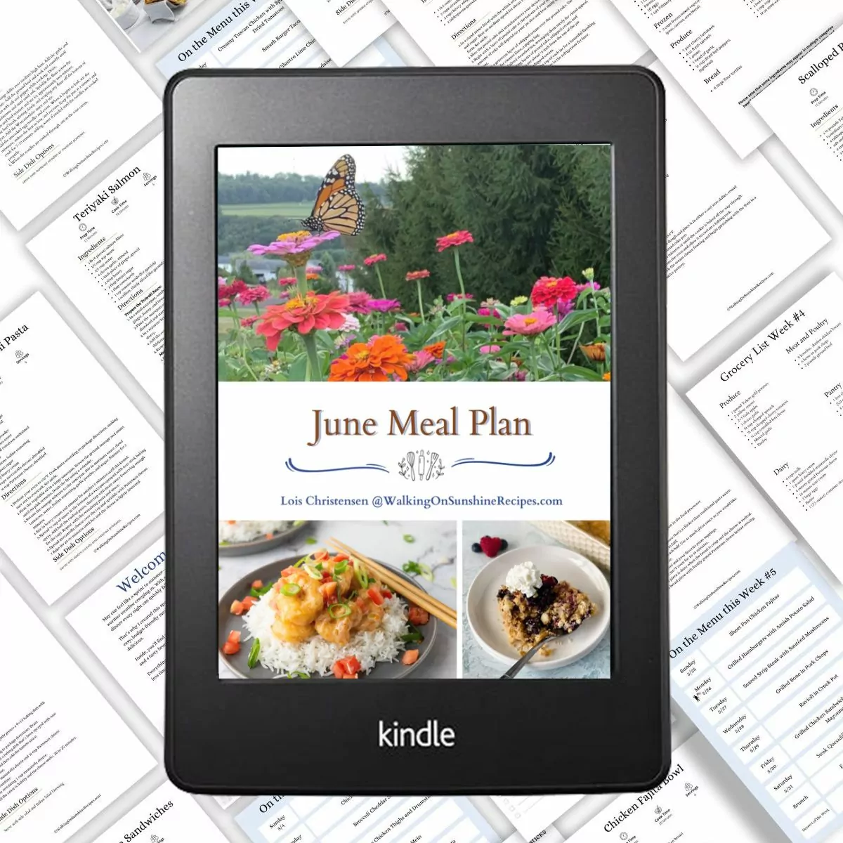 featured tablet sized photo of June meal plan.