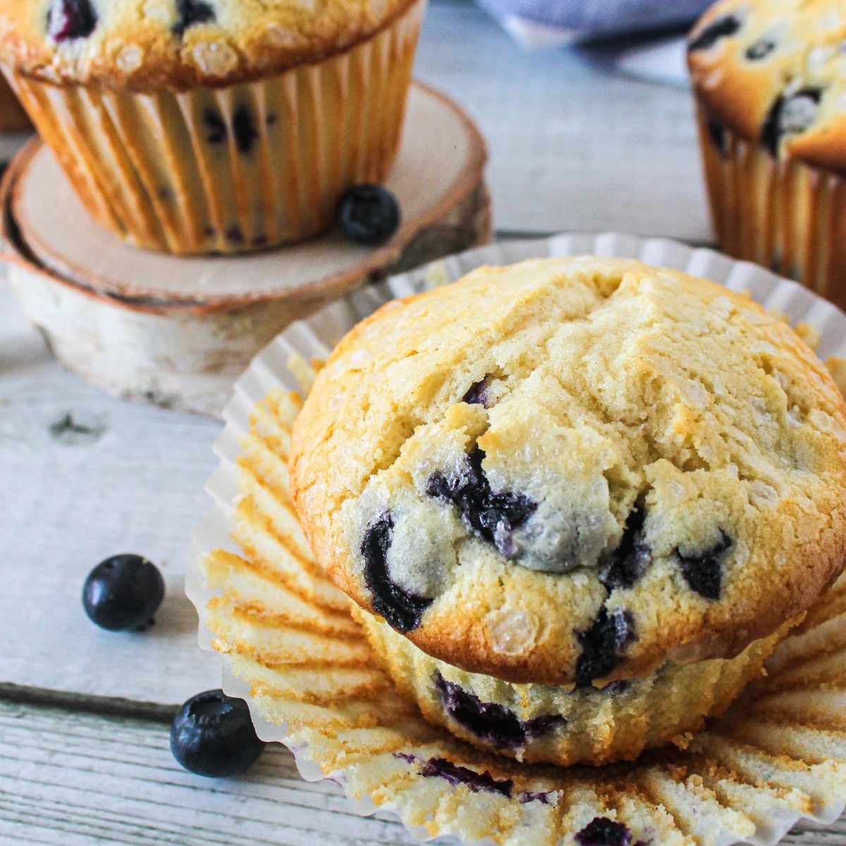 Blueberry Muffin with the wrapper pulled away.